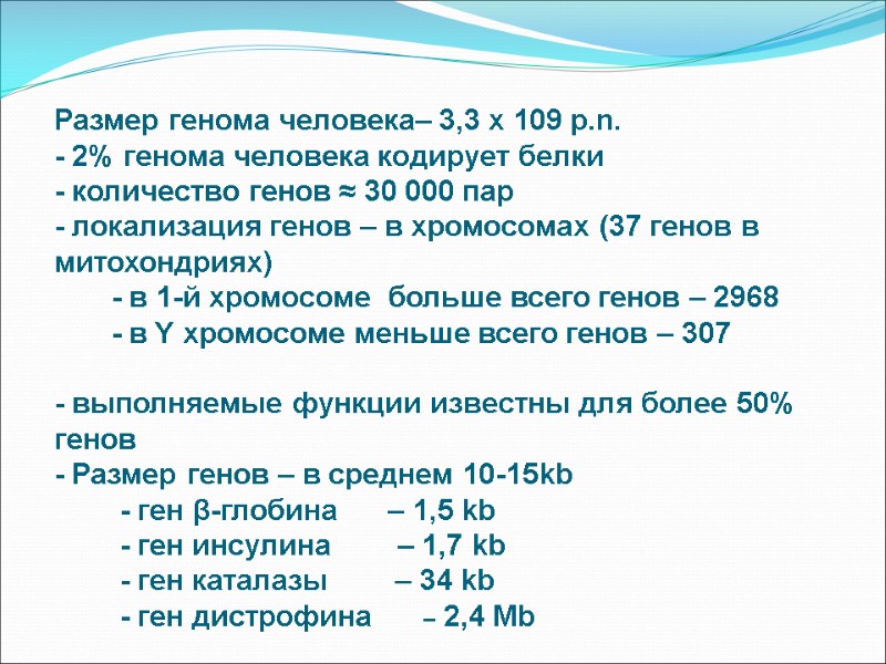 Размер генома человека– 3,3 x 109 p.n. - 2% генома человека кодирует белки -